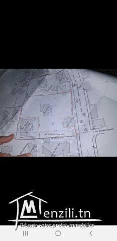 Terrain commercial ou villa