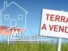 terrain 527m a kairouan