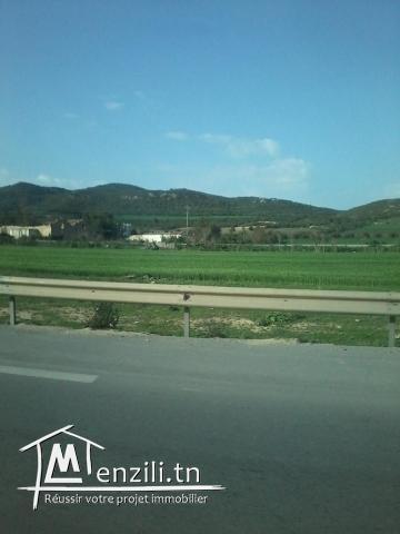 terrain 527m a kairouan