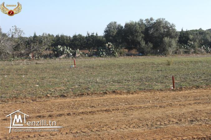 un superbe terrain à kélibia 55201288/22878459