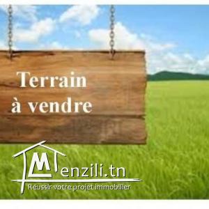 Appartement S3 haut standing Lac 2