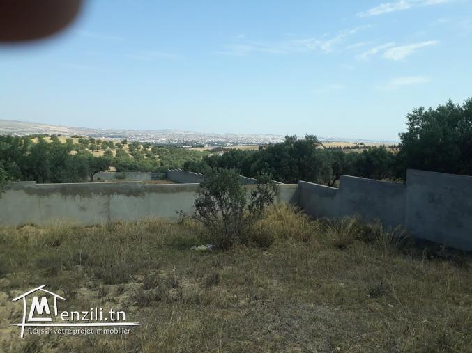 Cité des juges sanhaja manouba