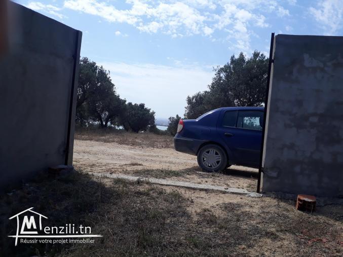 Cité des juges sanhaja manouba