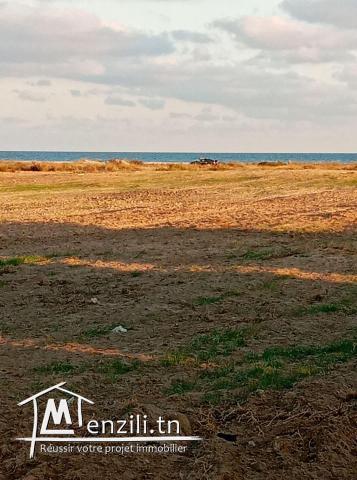 lotissement à vendre à la plage sidi mansour kelibia