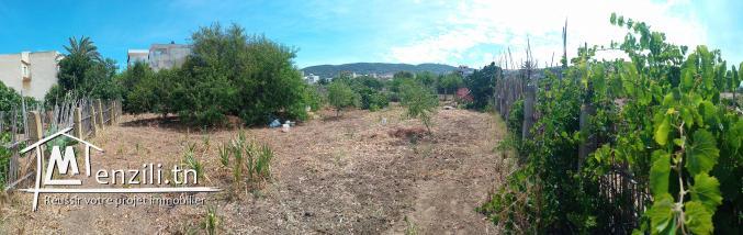 Terrain 500 M² à Raf raf Plage coté D'har Ayed