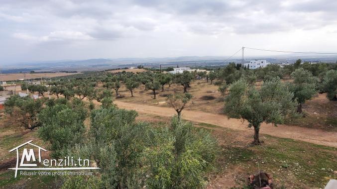 belle villa dans le calme (a 30min du centre-ville Tunis)