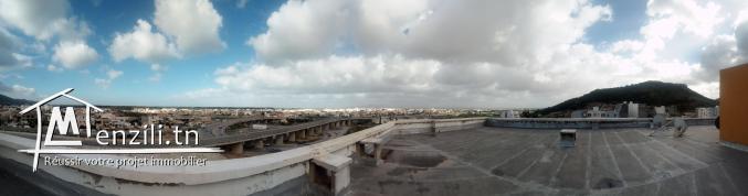 S+1 a vendre a borj Cedria