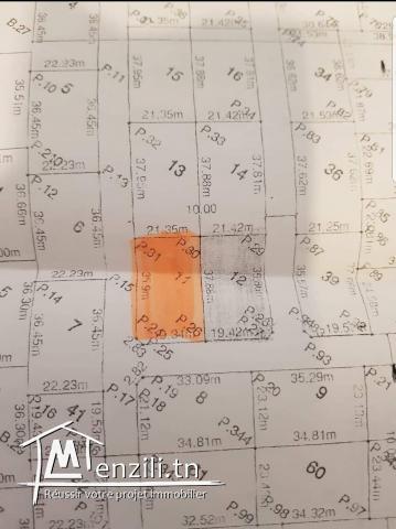 Belle affaire pour des terrains à bas prix.