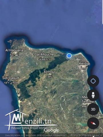Un terrain sur mer à vendre ; EL Zahra-Kelibia