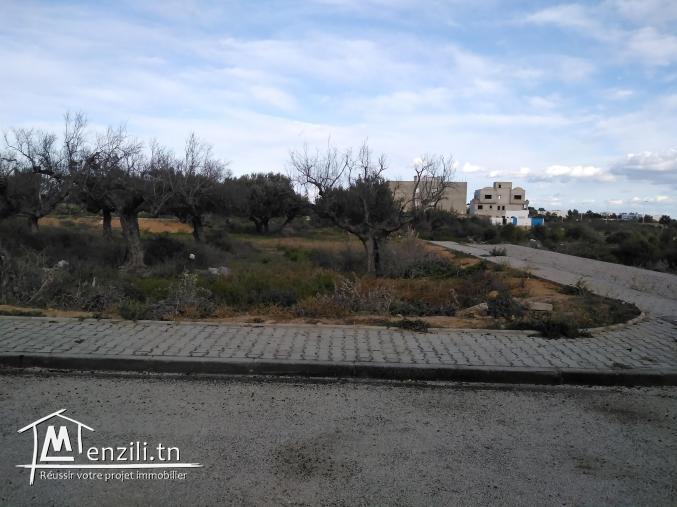 Terrain à vendre à Sidi Mahrsi