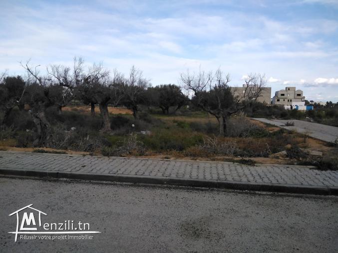 Terrain à vendre à Sidi Mahrsi