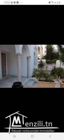 Villa  de luxe  à  France ville