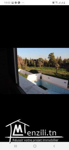 Villa  de luxe  à  France ville