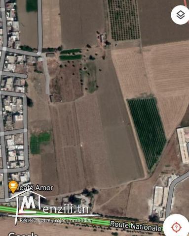 A vendre Terrain a Jdeida de 15000 m2