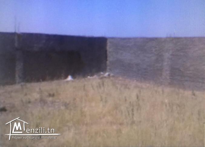 Terrain a vendre de 6667 m2 cloturé a jbel ouest zaghouan