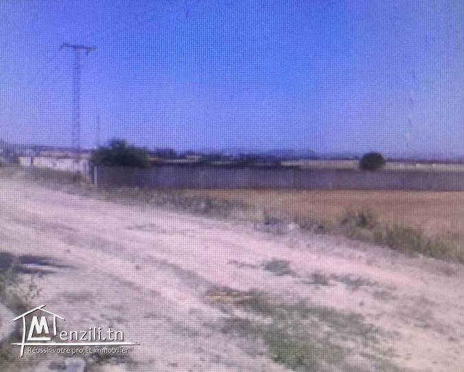 Terrain a vendre de 6667 m2 cloturé a jbel ouest zaghouan