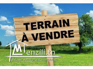 terrain de 10 hectares à Tozeur