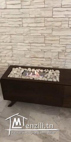 S2 trés haut standing /meublé luxe