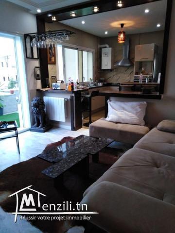 S2 trés haut standing /meublé luxe