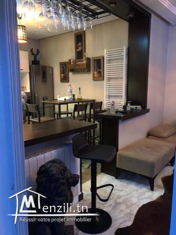 S2 trés haut standing /meublé luxe