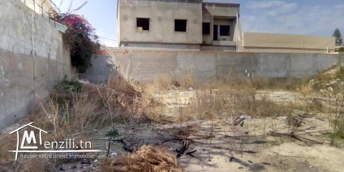 terrain ghazella ariana