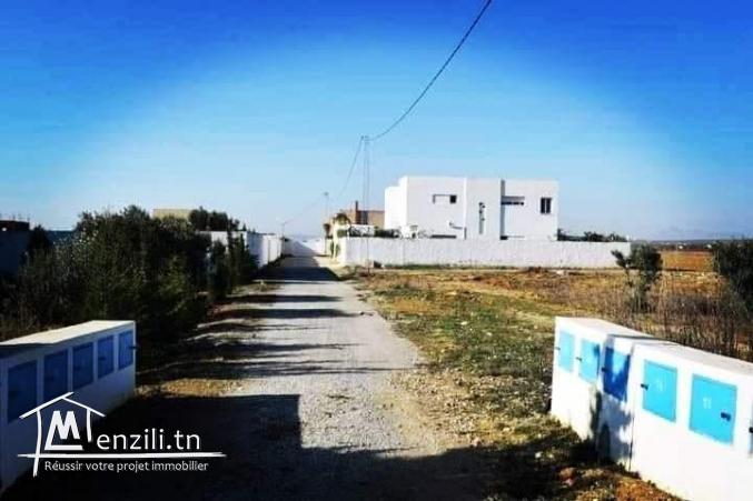 lots terrains hammamet a 25000dt