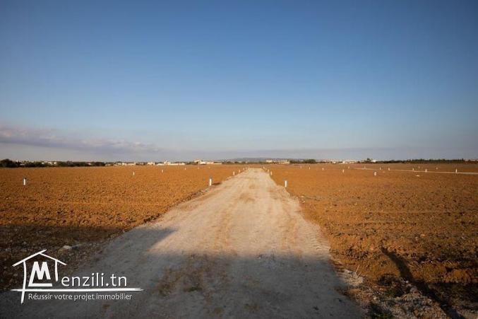 lots terrains hammamet a 25000dt