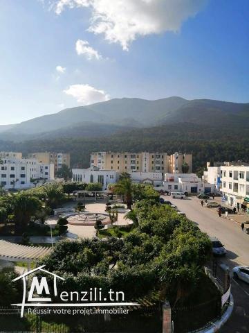 Appartement S+3 à Hammam Chatt