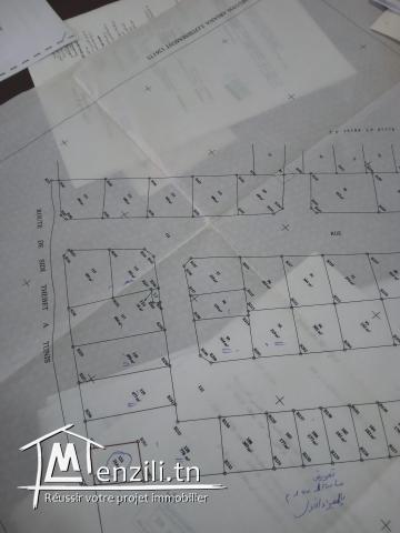 Lot à vendre à chebaw oued ellil