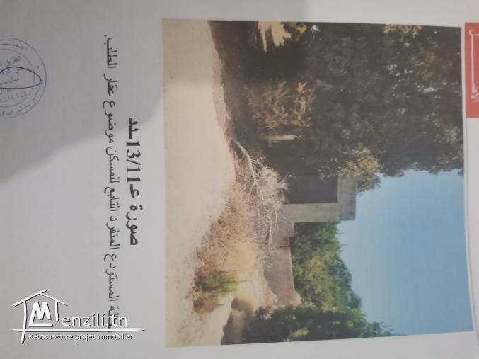 منزل في صوب مزارع زاوية الحديدي