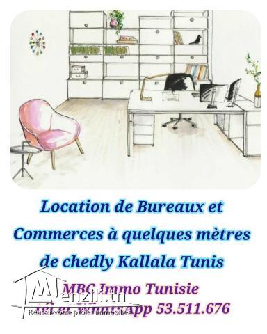 espaces bureautiques et locaux commerciaux à louer à chedly kallele