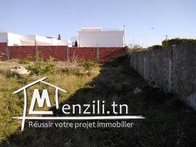 Terrain à vendre à hammamet zone touristique