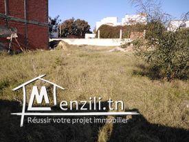 Terrain à vendre à hammamet zone touristique
