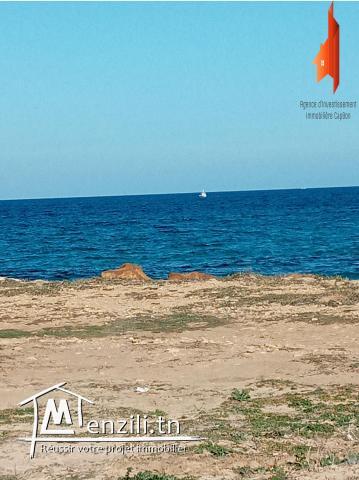 فرصة بش تملك مساحتها 500 م مربع 