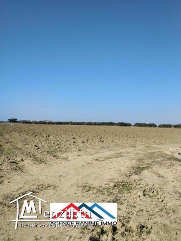 Terrain agricole de 6 hectares a el haouaria cap bon