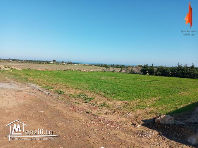 un #NOUVEAU #terrain #vue de mer #  kerkouane