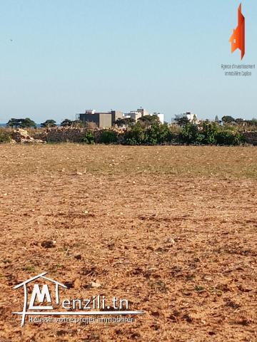 Occasion à ne pas rater de 500 m2