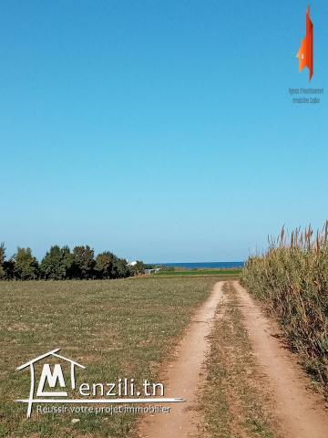 Occasion à ne pas rater de 500 m2