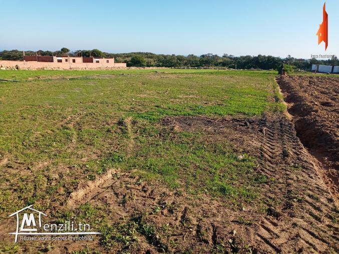 Occasion à ne pas rater d 1000 m2