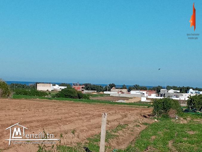 Occasion à ne pas rater d 1000 m2