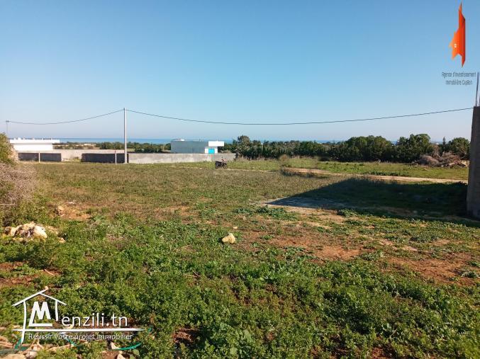 Ce terrain est situé à #kerkouane