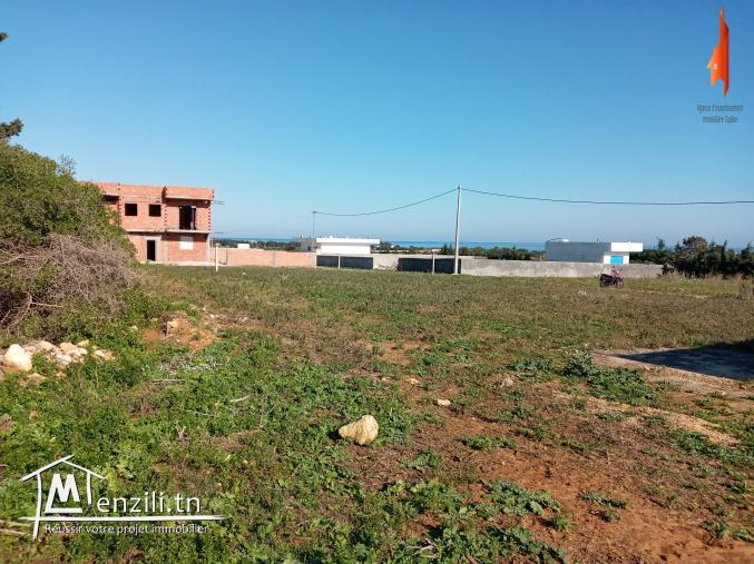 Ce terrain est situé à #kerkouane