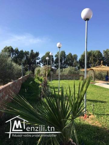 à vendre "Senya" près de El Haouaria