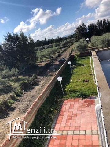 à vendre "Senya" près de El Haouaria