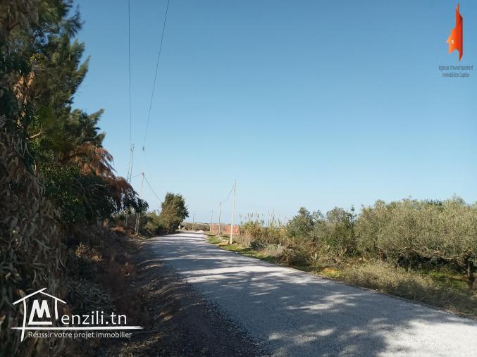 à vendre "Senya" près de El Haouaria