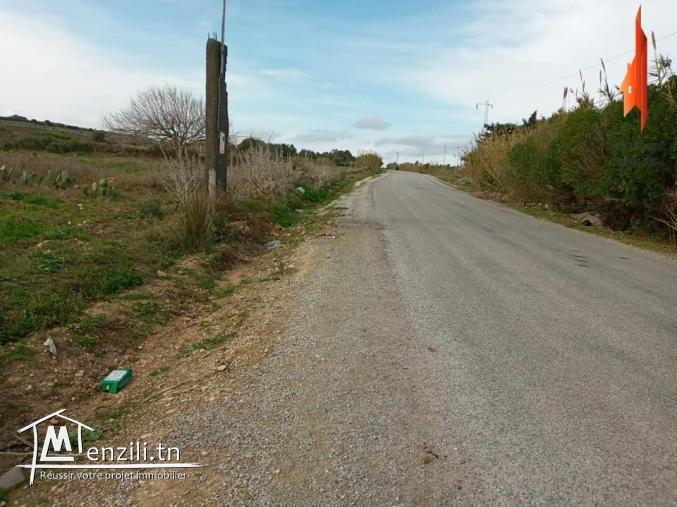 تلوج عل الافاريات والفرص