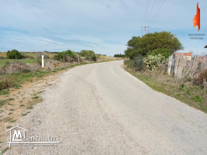 terrain à vendre situés à Tamozrat Kélibia à 2 km de la plage