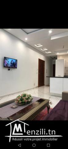 S+1 au kram meublé à louer haute 56261203