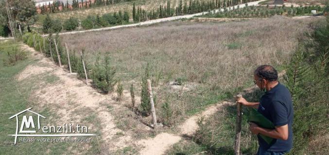 اراضي سكنية ولاية منوبة: 150د/م²