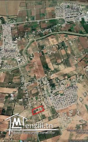 اراضي سكنية ولاية منوبة: 150د/م²